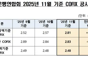 11월 코픽스 2.81%..전월비 0.24%P 폭등