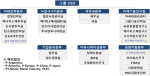 포스코홀딩스 조직도(2025년 2월)