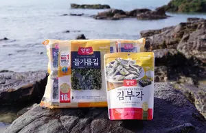 양반김 1등 비결 ‘고급 원초’, 우리 땅에서 키워 전 세계로 뻗는다