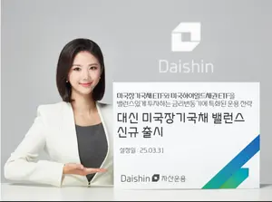대신자산운용, ‘대신 미국장기국채 밸런스’ 펀드 출시