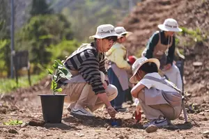 한화그룹, 태양의숲 12호 ‘다시 푸른 숲:울진’ 조성