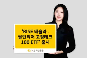 25%는 무조건 테슬라 아니면 팔란티어