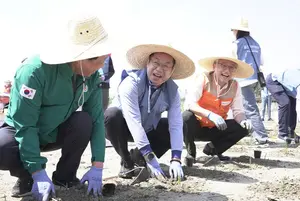 포스코이앤씨, 인천 소래습지에 염생식물 4천주 식재…“블루카본 생태계 복원”