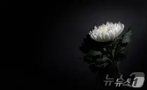 [부고] 임채호(경기도의회 사무처장)씨 장모상