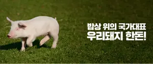 국산 돼지 '한돈' 투자증권 나온다