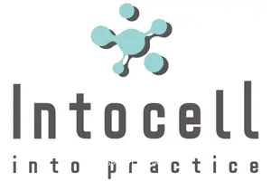 인투셀, ADC 신약 'ITC-6146RO' 글로벌 1상 돌입… 
