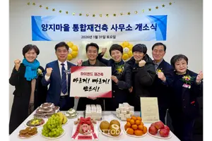 분당 양지마을, 한국토지신탁과 결별…
