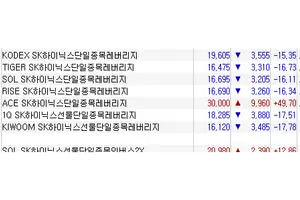 ACE SK하이닉스레버리지 49.7% 급등 마감..주문사고 가능성