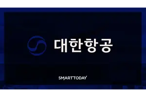 국토부, 대한항공·아시아나 합병 인가…12월17일 통합 대한항공 출범