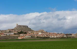 강한 실행력으로 스마트 성공한 스페인의 작은 ‘과달라하라‘