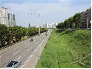 서울시, 자동차전용도로에 210만 그루 나무 심는다