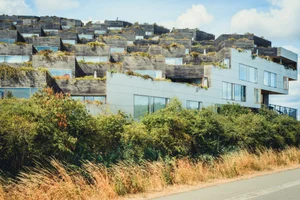 코펜하겐이 옥상을 녹색으로 바꾸는 이유