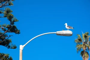 코로나19로 맑아진 대기질, 차 운행 10% 줄여야 지구가 산다