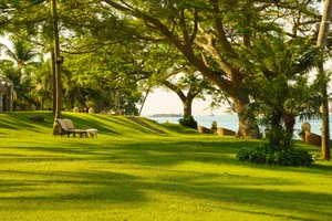 [스마트시티 구축사례] 싱가포르가 무더위를 식히면서 시원하게 지내는 방법
