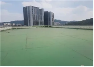 서울시, 옥상에 녹색 지대 조성 확대