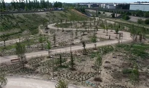 마드리드, 기후 변화에 대처해 거대한 도시 숲 건설