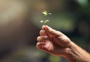 [2022 스마트시티 전망] 주목받을 스마트 기술들 ⓵그린 테크놀로지