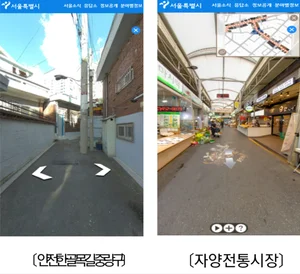 서울 스마트맵, 민간 맵에 없는 