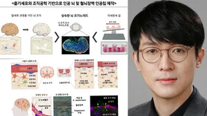 연세대 조승우 교수, 줄기세포·조직공학 기반 고도화된 '인공 뇌' 구현.. '이달의 과학기술인상'