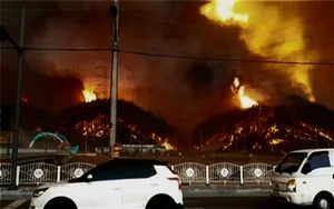 현대차그룹, 울진·삼척 산불 피해 긴급복구 지원...‘도시형 세탁구호차량’ 4대·‘통합 방역구호차량’ 1대 투입 