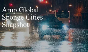 뉴질랜드 오클랜드, 폭우 가장 잘 견디는 ‘스펀지 도시’ 선정