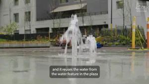 '미래의 공원'은 어떤 모습일까…“복원력이 최우선 요소 될 것”