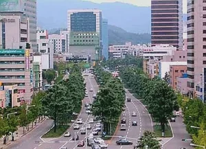 Daegu City will establish a Smart Management System for Roadside Trees