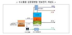 차세대 연료전지 국제표준화 전략, 한국에서 논의