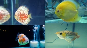 2만평 규모 아쿠아펫랜드 준공