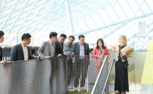 'K 37 + 벨트 안양' 대체 뭐길래?