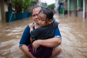 [스투/리포트] 전 세계 주요도시의 80%가 올해 '중대한 기후 위험' 경험
