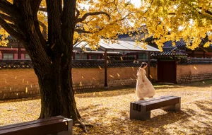 어스, 2022년 세계 7대 스마트시티에 서울 선정