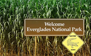 [스투/리포트] 탄소 저장소 ‘담수 습지’…“물은 기후 변화 솔루션이다”