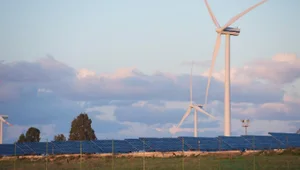 [초점] “에너지 부문의 탈 탄소화가 도시 경제 활성화의 진정한 솔루션”