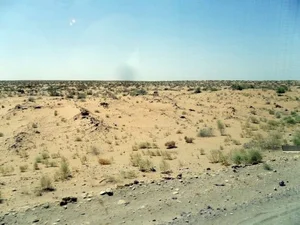 우즈베키스탄에 산림 복원 비법 전수한다