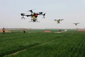 Sejong City to cultivate high-tech agriculture