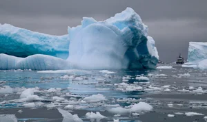 [스투/리포트] 남극 해빙, 1월 초 역대 최저 수준 급감…생태계에 닥치는 위험들