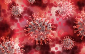 지난 20년간 전염병 1위 '독감'..코로나19는 몇 등?