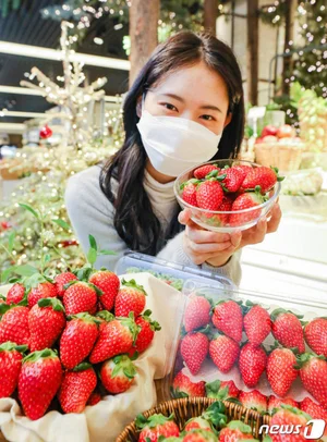 코오롱 투자받은 올레팜, 신품종딸기 '홍희'로 중동 '원정'