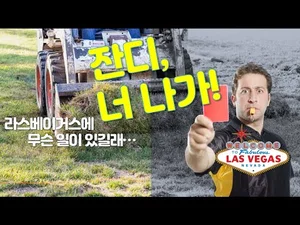 라스베이거스에서 잔디가 사라지는 이유는?