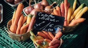 유로존 물가상승 소폭 완화...ECB는 여전히 '빅스텝' 고려