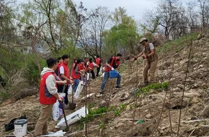 도토리 키우는 LG유플러스 ‘U+희망트리’ 