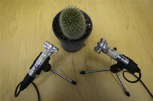 (화제)식물도 스트레스 땐 울부짖는다 [스투/리포트]