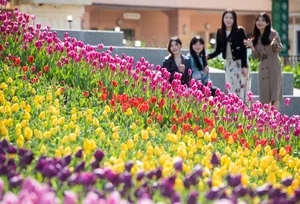 에버랜드, 봄 시즌 특별 프로모션..캐비 '마르카리베' 한 달간 무료 개방