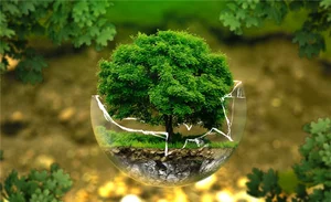 ’나무 심어야 할 곳 자동으로 알려준다‘…TES를 아시나요