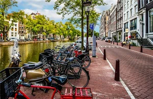 미국, 2035년까지 신차 판매 30% 줄인다[스투/리포트] 