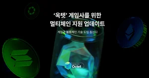 헥슬란트 옥텟, 멀티체인 지원 통해 지갑 편의성 넓혀