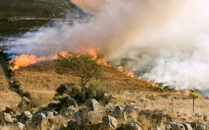 '최악의산불' 캘리포니아에 '냄새 센서' 배치로 화재 예방
