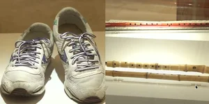 김영삼 노태우 전 대통령 아들 현철·재헌씨'깜짝도슨트'