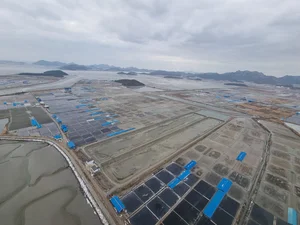 日 원전 오염수 방류에 천일염 파동 오나..소금 관련주 급등